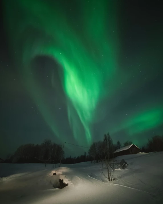a green aurora bore over a snow covered field, by Anato Finnstark, lightshow, celebration, ox, swirling