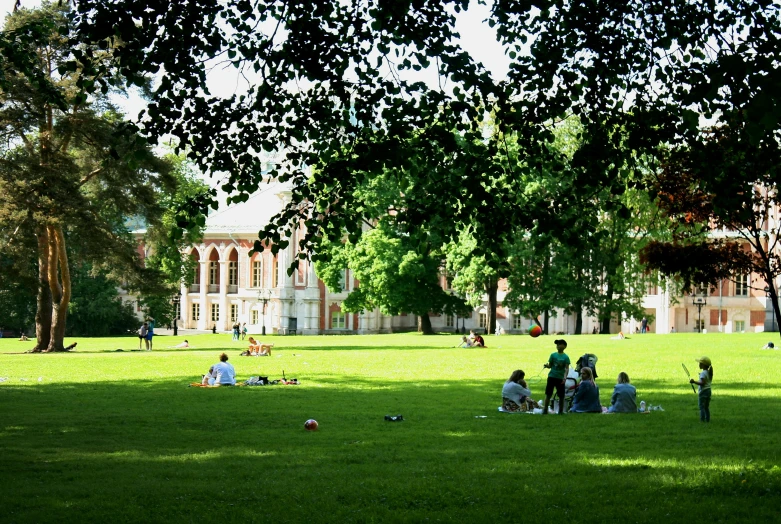 a group of people sitting on top of a lush green field, academic art, marketsquare, linden trees, at college, listing image