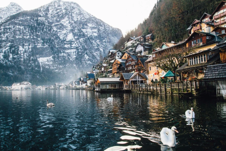 a group of swans floating on top of a lake, by Julia Pishtar, quaint village, alpine architecture, conde nast traveler photo, 🚿🗝📝