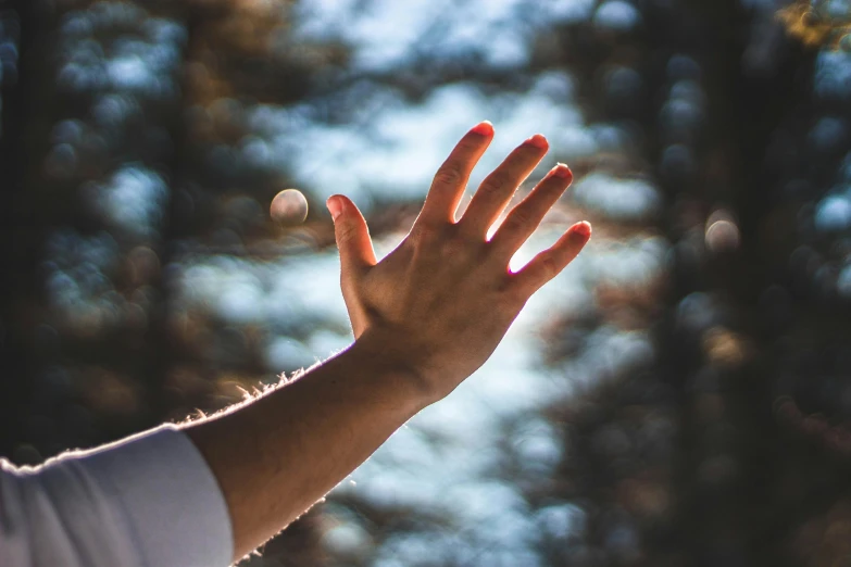 a person reaching up to catch a baseball, by Jan Rustem, pexels contest winner, paul barson, blessing hands, modeled, thumbnail