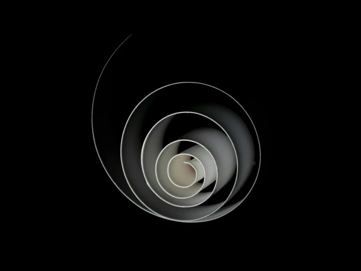 a spiral shaped object on a black background, inspired by László Moholy-Nagy, generative art, worms eye view, on a black wall, snail shell, thin lines