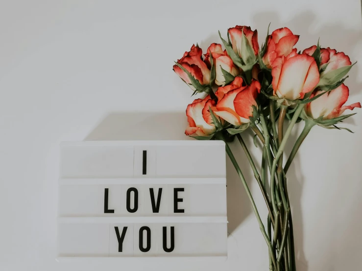 a vase filled with red roses next to a sign that says i love you, pexels contest winner, white and orange breastplate, abcdefghijklmnopqrstuvwxyz, thumbnail, indoor shot