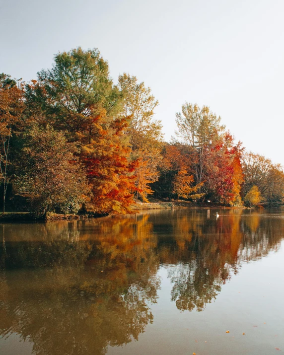 a large body of water surrounded by trees, warm colors, lgbtq, trending on vsco, multiple stories