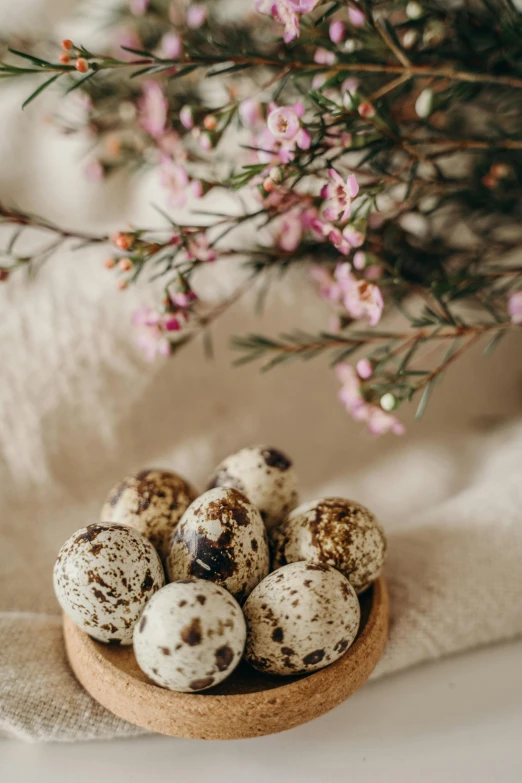 quails in a bowl with flowers in the background, trending on unsplash, baroque, eggshell color, eggs, white with black spots, high quality product photo