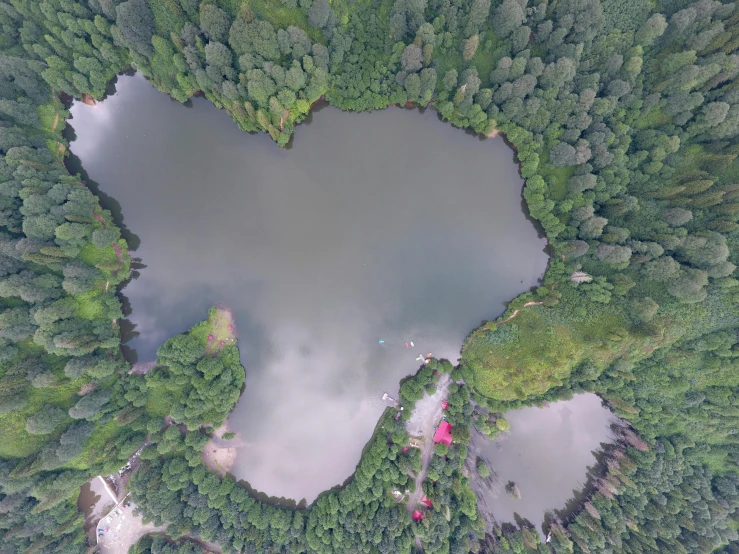 an aerial view of a lake surrounded by trees, camera looking down upon, wētā fx, it's very huge, pov photo