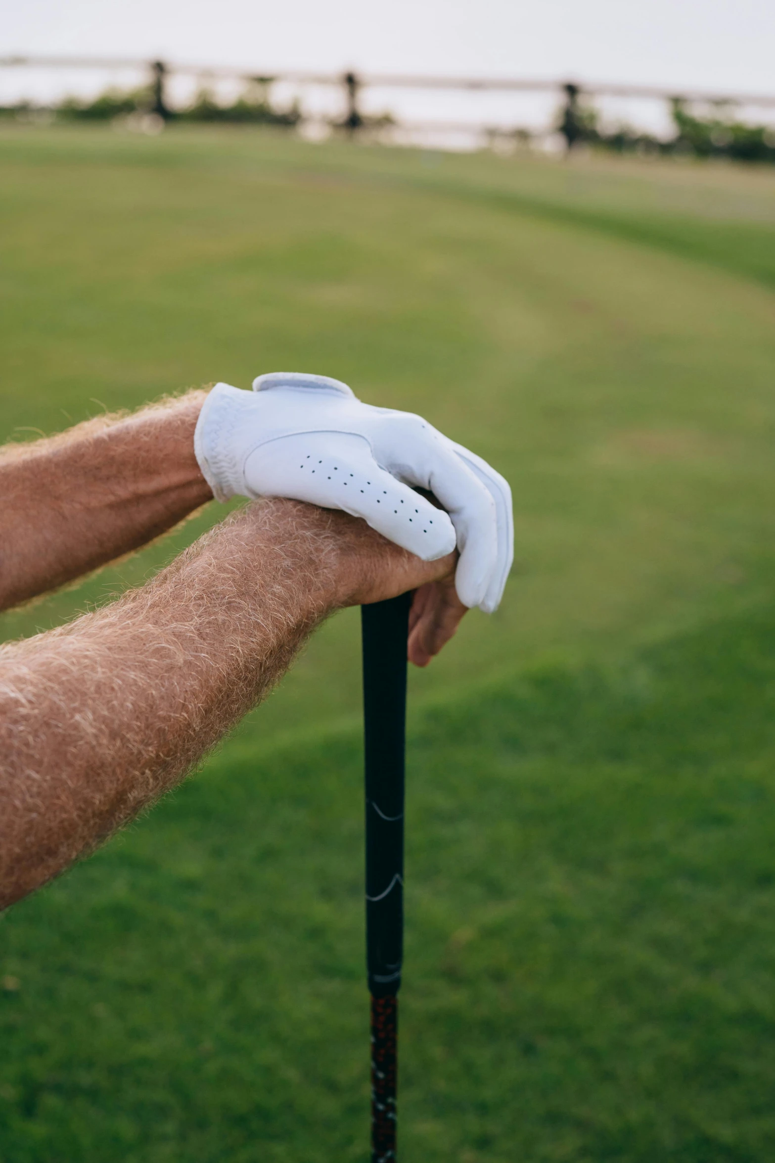 a close up of a person holding a golf club, hairy arms, instruction, enhanced hands, golf course