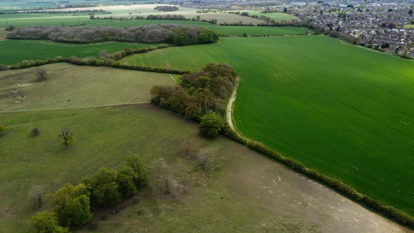 an aerial view of a large green field, by Julian Allen, unsplash, land art, with dark trees in foreground, madgwick, slide show, realistic footage