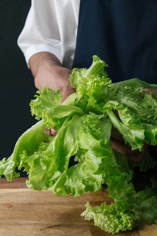 a person cutting lettuce on a cutting board, by Dan Content, renaissance, on a gray background, greenery, ruffles, on a black background