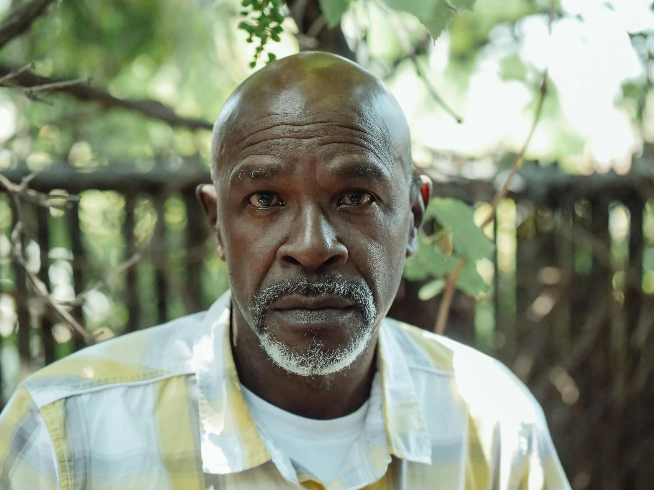 a close up of a person wearing a shirt, a portrait, pexels contest winner, augusta savage, 50 years old men, looking content, lush surroundings