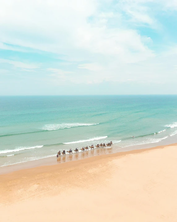 a group of people riding horses on top of a sandy beach, flatlay, sri lankan landscape, profile image, ocean sprites