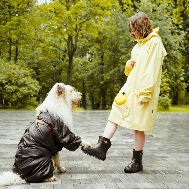 a little girl standing next to a dog in a raincoat, pexels contest winner, visual art, wearing boots, black and yellow, wearing off - white style, alexander abdulov