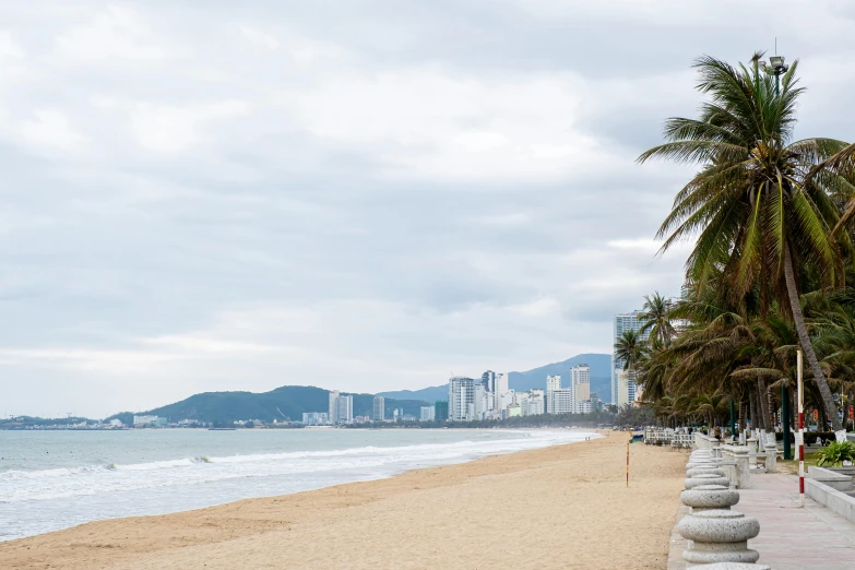 a sandy beach lined with palm trees next to the ocean, by Carey Morris, pexels contest winner, downtown mexico, guangjian, thumbnail, background image