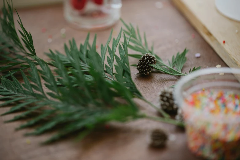 a table topped with pine cones and sprinkles, inspired by Andy Goldsworthy, unsplash, fern, modelling clay, medium close up shot, wooden decoration