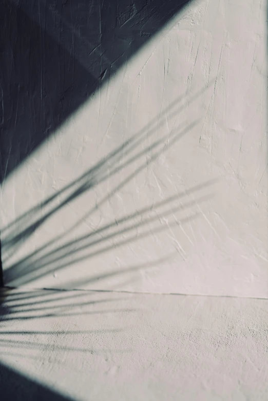 a shadow of a plant on a wall, a picture, unsplash, gray canvas, instagram picture, background image, wallpaperflare