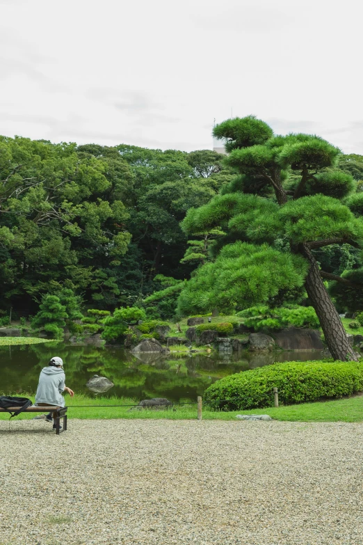 a person sitting on a bench near a pond, sōsaku hanga, with matsu pine trees, tokyo japan, photograph, sittin