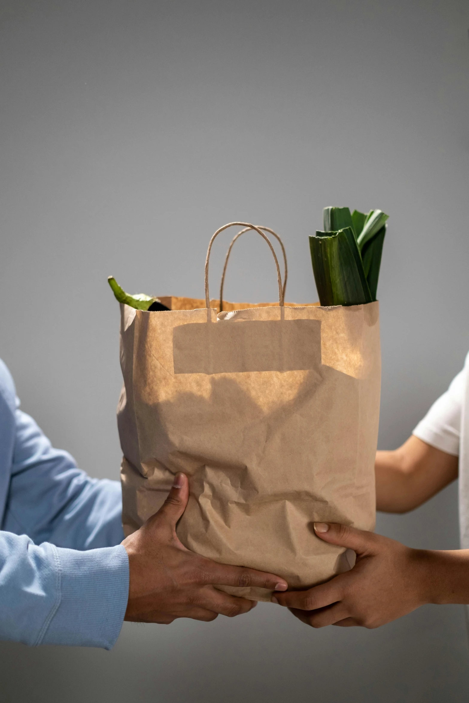 two people holding a paper bag with a plant in it, a digital rendering, by Niko Henrichon, pexels contest winner, renaissance, closeup at the food, getting groceries, side light, packaging design