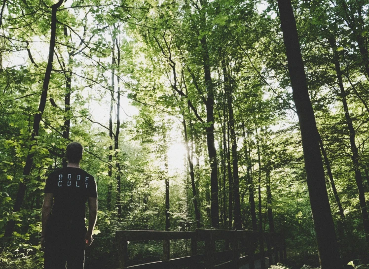 a man standing in the middle of a forest, instagram photo, william penn state forest, green and black colors, back - lit