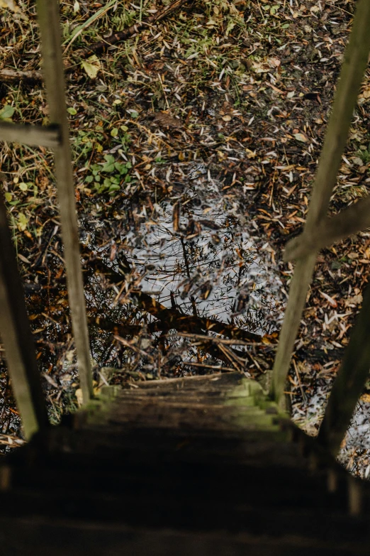 a person walking up a set of stairs in the woods, an album cover, pexels contest winner, land art, sewage falling from grates, high angle close up shot, oily puddles, small fence