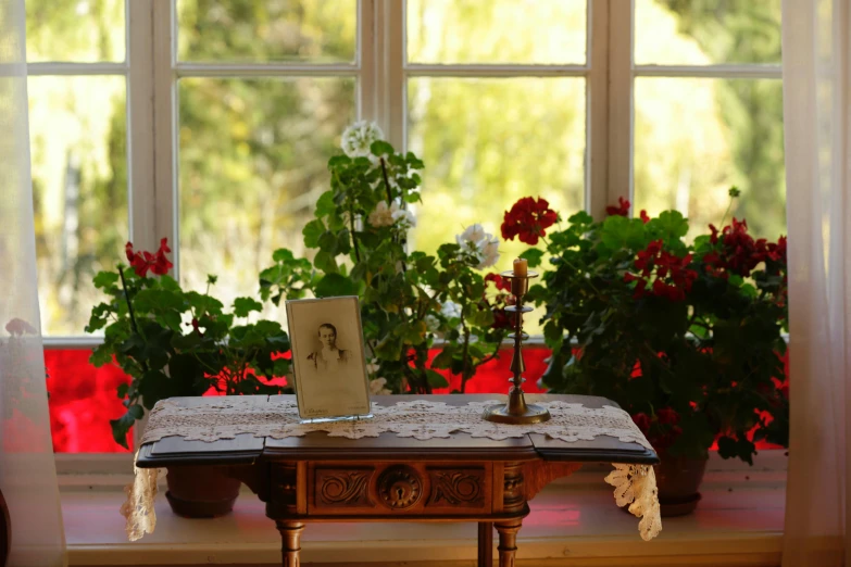 a vase sitting on top of a table next to a window, red and white flowers, shishkin, family photo, displayed on an altar