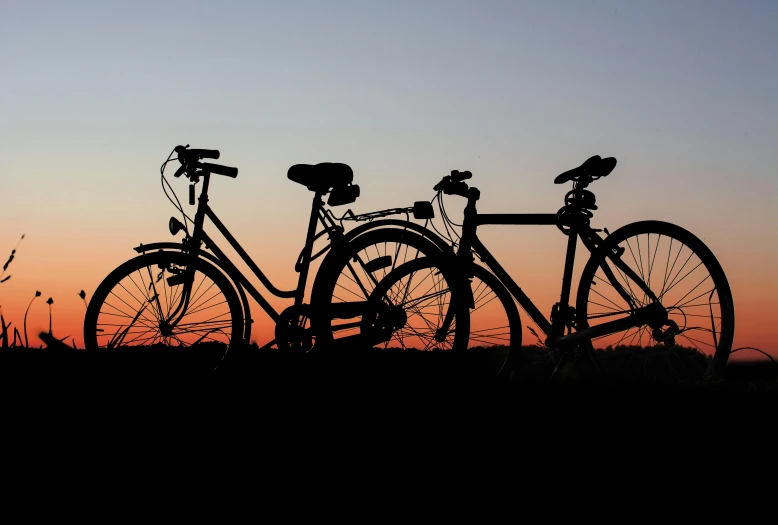 a couple of bikes that are sitting in the grass, pexels contest winner, detailed silhouette, predawn, print ready, black