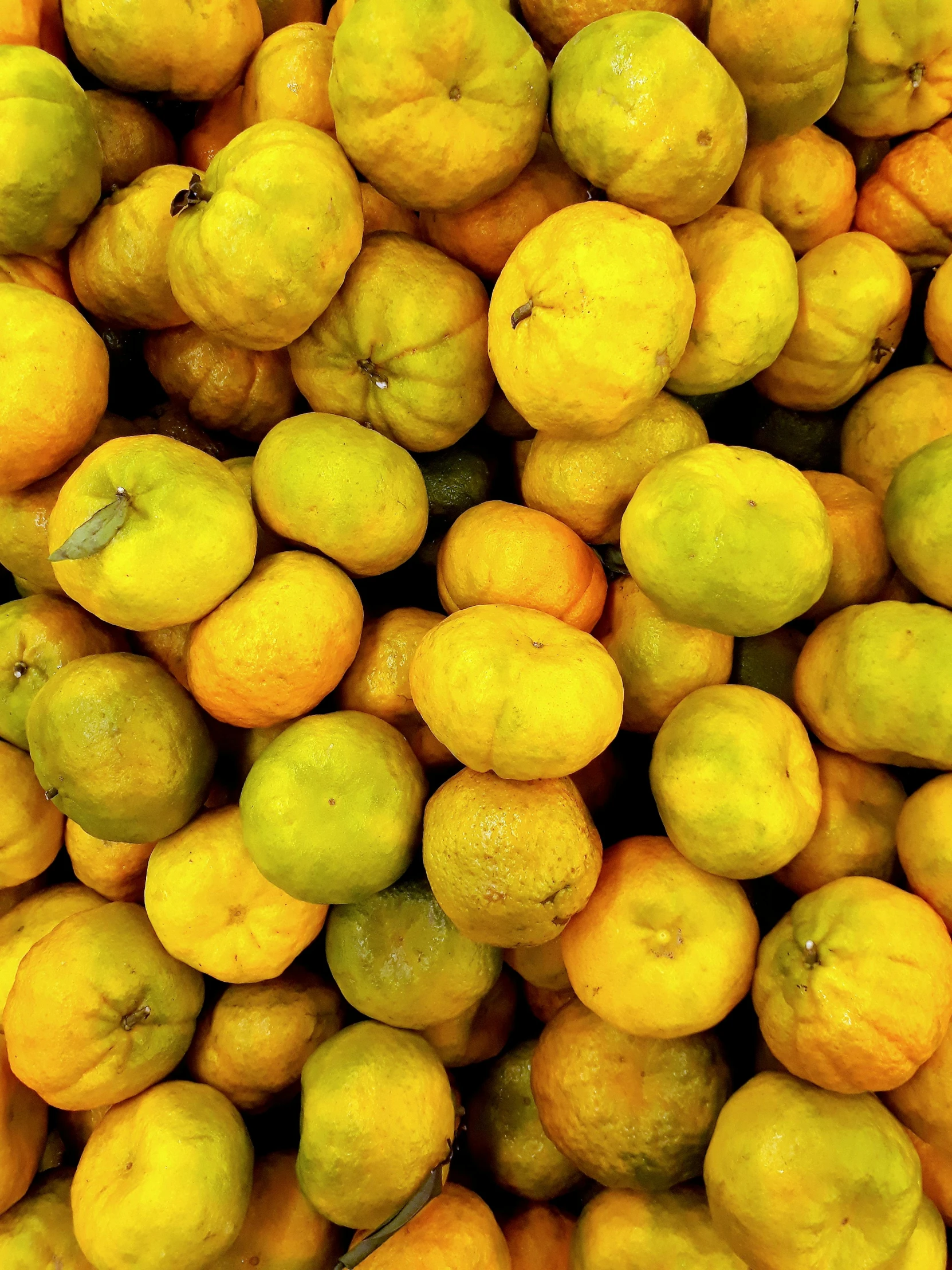 a pile of lemons sitting on top of each other, by Carey Morris, very orange, small chin, malaysian, 4l