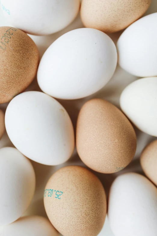 a pile of eggs sitting on top of a table, varying ethnicities, up-close, 1 6 x 1 6, fan favorite