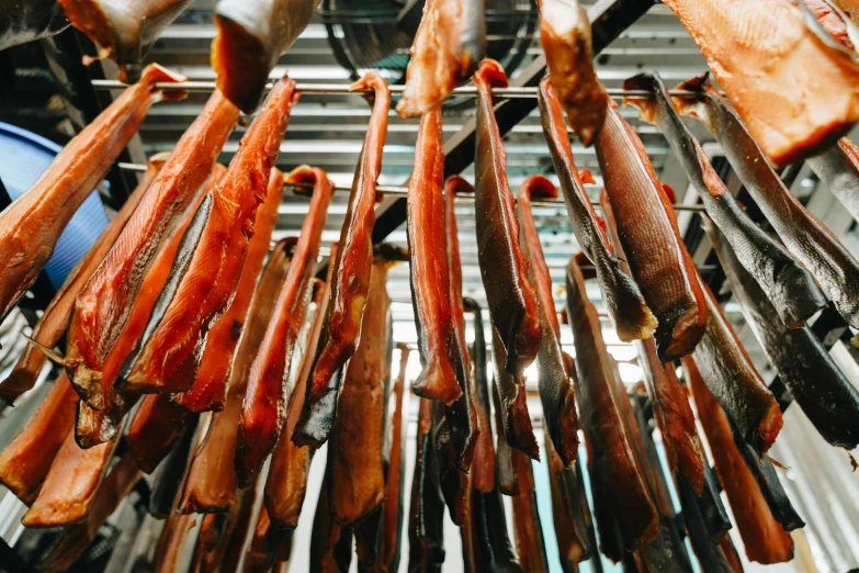 a bunch of sausages hanging from a rack, by Tobias Stimmer, pexels contest winner, hurufiyya, salmon, well preserved, whealan, lots of light