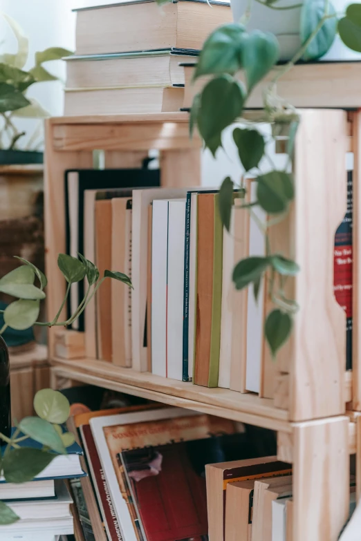 a bookshelf filled with lots of books and plants, by Niko Henrichon, trending on unsplash, arts and crafts movement, wooden crates, inspect in inventory image, low-angle shot, promo image