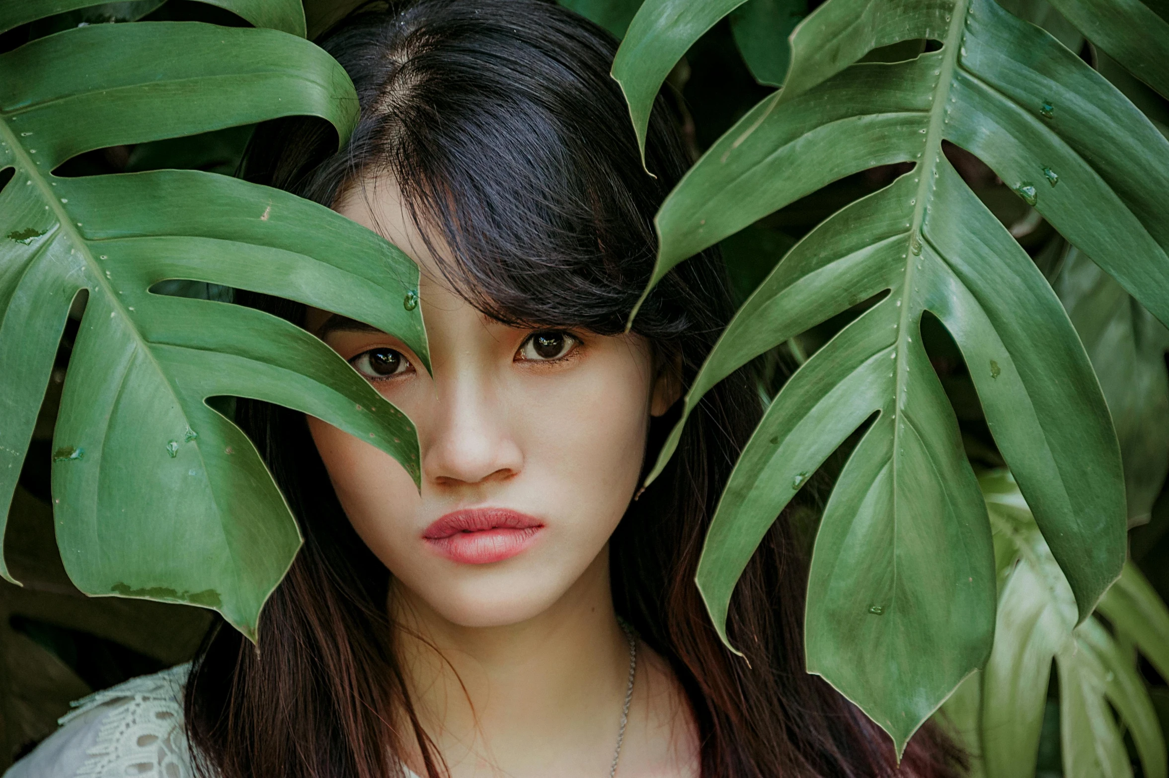 a woman standing in front of a bunch of green leaves, an album cover, inspired by Jung Park, trending on pexels, asian beautiful face, tropical, ulzzang, hiding