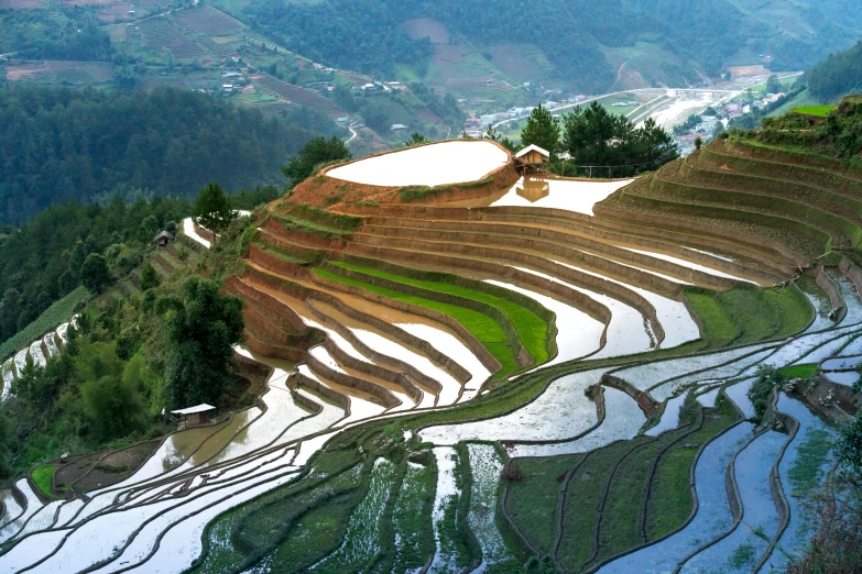 a view from the top of a hill of rice terraces, by Dan Content, pexels contest winner, land art, shiny skin”, 2000s photo, fan favorite, shiny layered geological strata