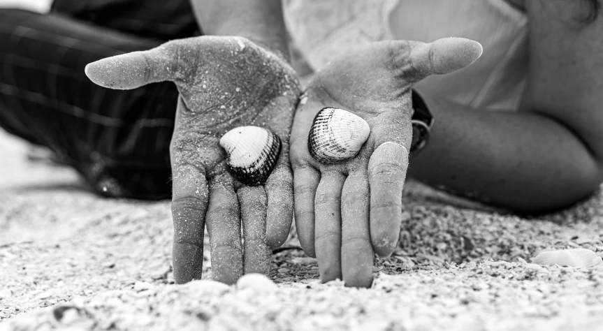 a black and white photo of a person holding two baseballs in their hands, a black and white photo, by Jan Rustem, fine art, seashells, digging, tourist photo, karla ortiz