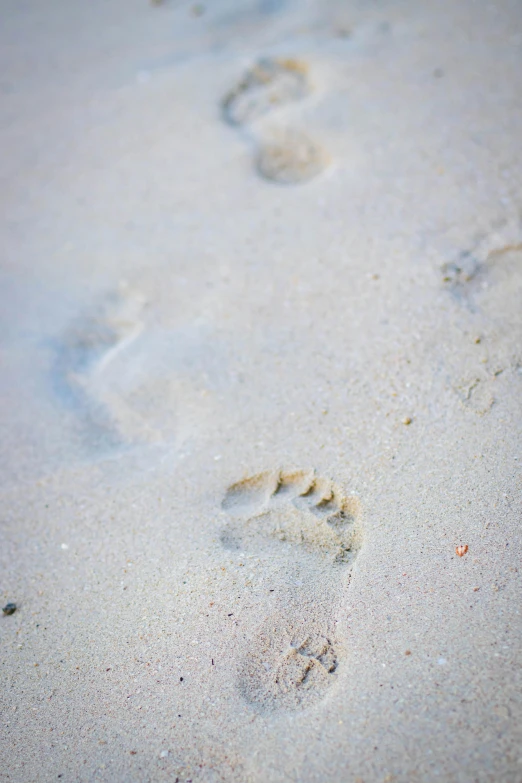 footprints in the sand on a beach, by Nina Hamnett, unsplash, multiple stories, full frame image, aruba, close up image