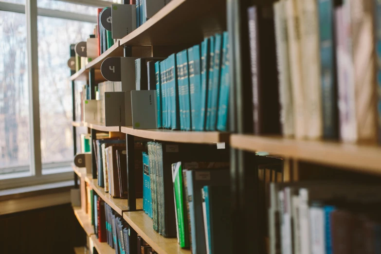 a bookshelf filled with lots of books next to a window, unsplash, academic art, brown and cyan color scheme, research center, thumbnail, evenly lit