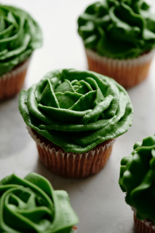 a table topped with cupcakes covered in green frosting, inspired by Art Green, natural point rose', lettuce, up-close, on a gray background