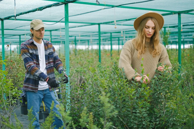 a man and woman picking blueberries in a greenhouse, pexels, renaissance, outlive streetwear collection, eucalyptus, scene from a movie, salvia