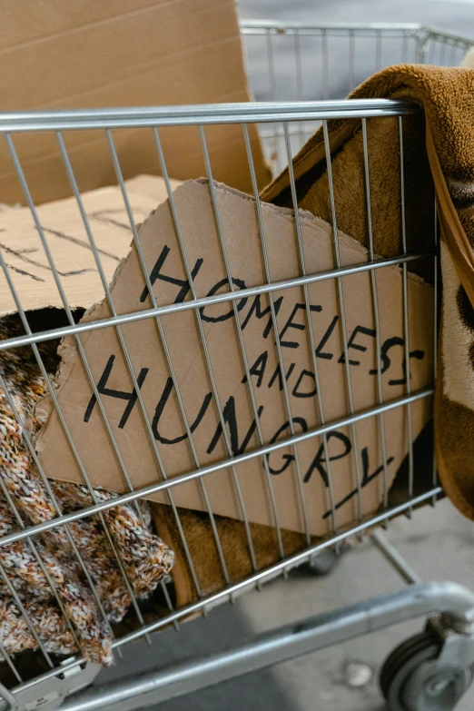 a dog is sitting in a shopping cart, a photo, by Hannah Tompkins, graffiti, donald trump as a homeless man, 15081959 21121991 01012000 4k, thumbnail, brown