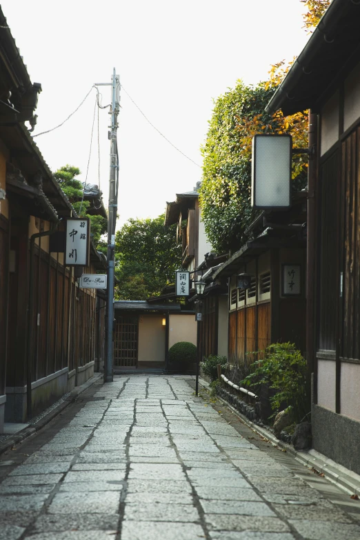 a narrow street lined with wooden buildings, a picture, unsplash, ukiyo-e, buildings carved out of stone, morning lighting, historical photo, garden road