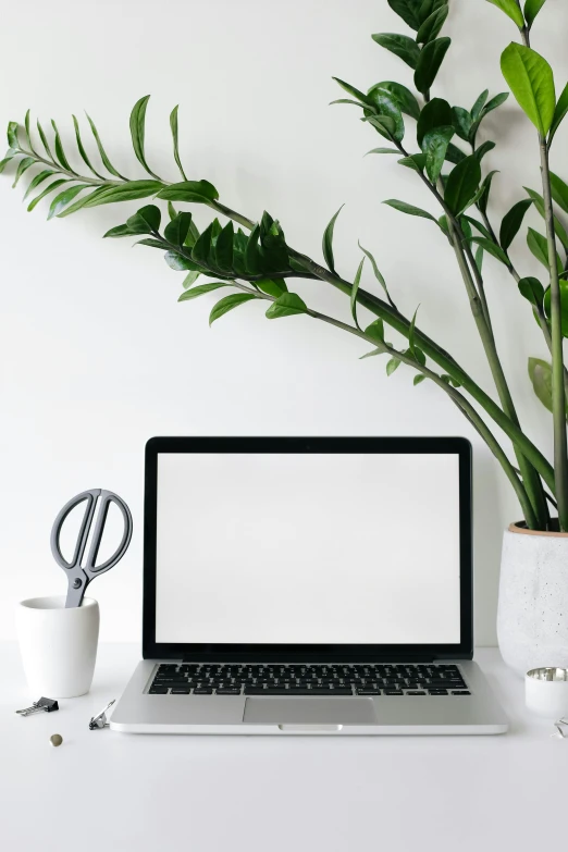 a laptop computer sitting on top of a white desk, trending on pexels, houseplants, clean and organized, avatar image, large)}]