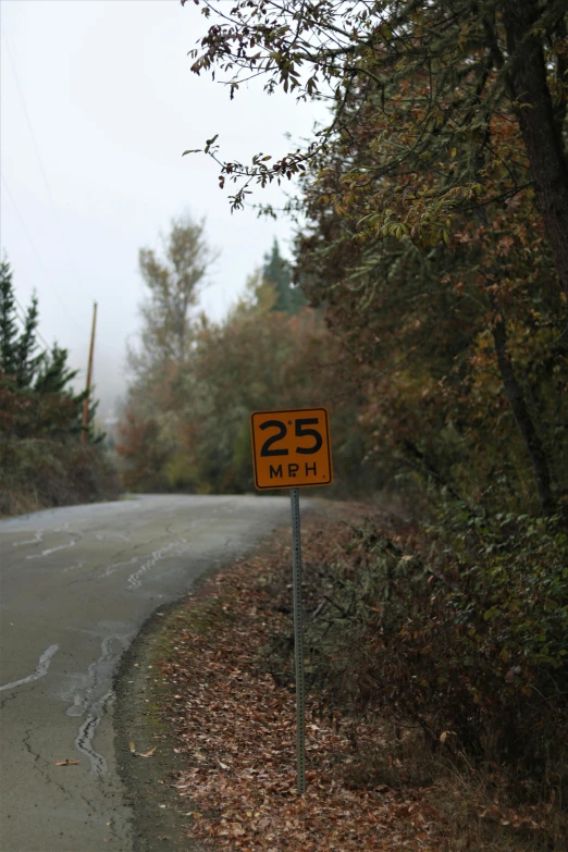 a speed limit sign on the side of a road, by Chris Rallis, land art, autumn rain turkel, misty ghost town, year 2 5 0 0, 5 k