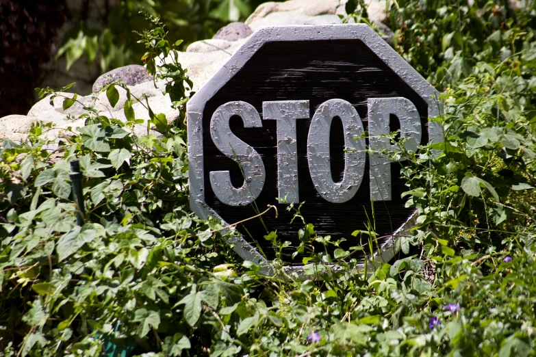 a stop sign sitting on top of a lush green field, by Linda Sutton, closeup photograph, slate, silver, ivy