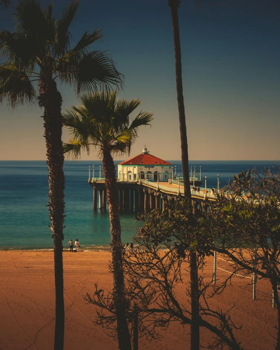 a beach with palm trees and a pier in the background, lgbtq, profile image, los angelos, white buildings with red roofs