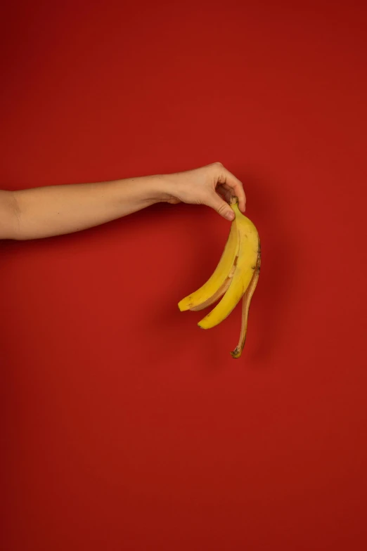 a person holding a bunch of bananas in their hand, an album cover, by Elsa Bleda, trending on pexels, pop art, red, seductive, 15081959 21121991 01012000 4k