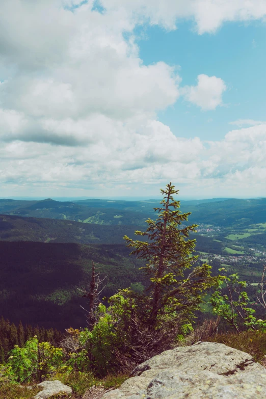 a man sitting on top of a rock on top of a mountain, by Emma Andijewska, pexels contest winner, panorama distant view, black forest, fir trees, vintage color