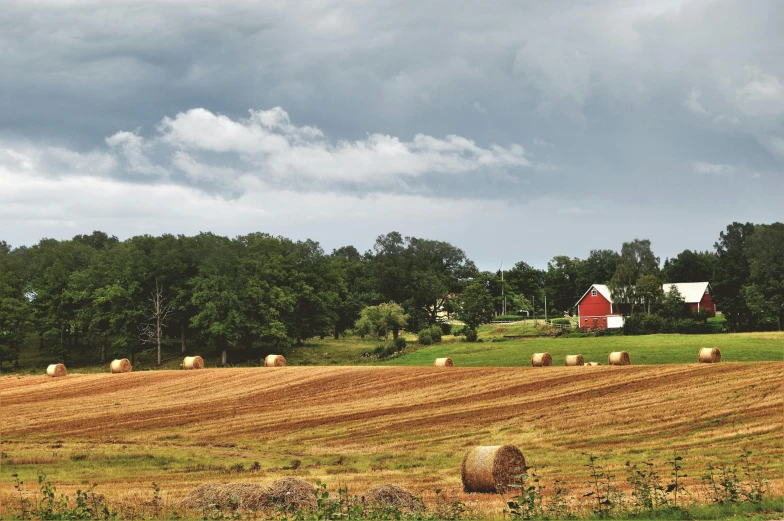 a field with hay bales and a red barn in the distance, pexels contest winner, hudson river school, swedish houses, 2 0 2 2 photo, no cropping, high resolution image