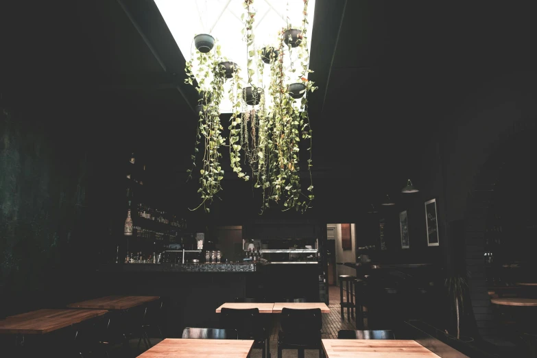 a dimly lit room with wooden tables and a chandelier, a photo, unsplash, hanging vines, black and green scheme, inside a bar, 2 0 0 0's photo