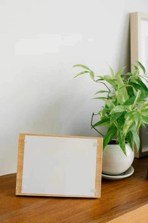 a picture frame sitting on top of a wooden table, unsplash, large potted plant, low quality photo, whiteboard, cardboard