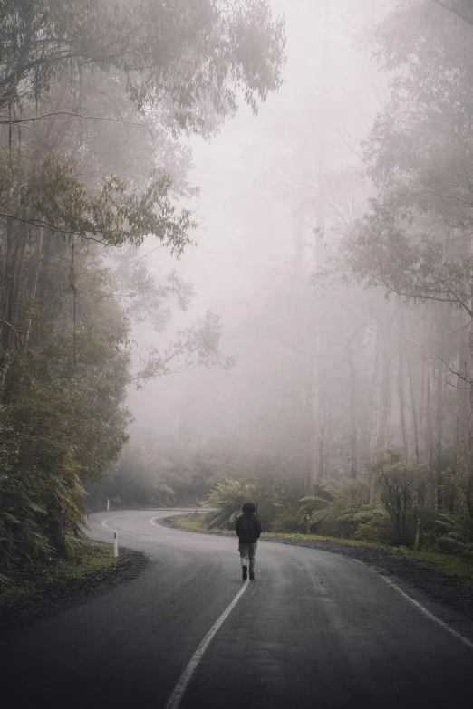 a person walking down a road on a foggy day, by Maggie Hamilton, unsplash contest winner, australian tonalism, cloud forest, run down, tamborine, in a scenic background