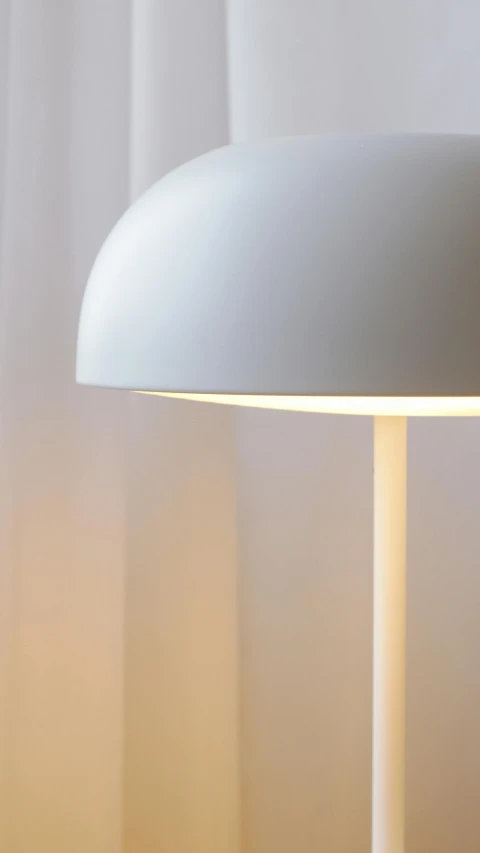 a white table lamp sitting on top of a wooden table, mushroom cap, detail shot, rounded lines, uplit