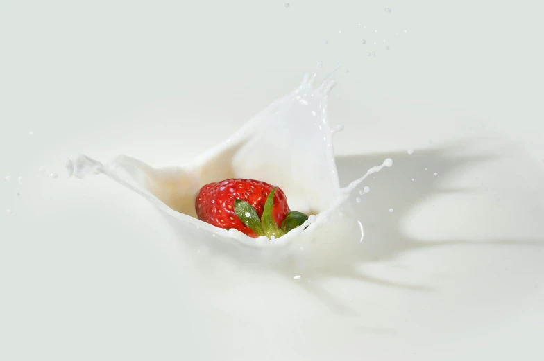 a strawberry falling into a bowl of milk, unsplash, organic ceramic white, ilustration, angled shot, white