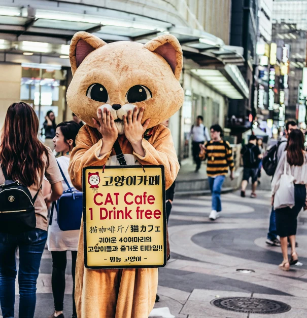 a person in a cat costume holding a sign, by Julia Pishtar, pexels contest winner, street art, japan sightseeing, real life size, 8k octan advertising photo, catastrophe